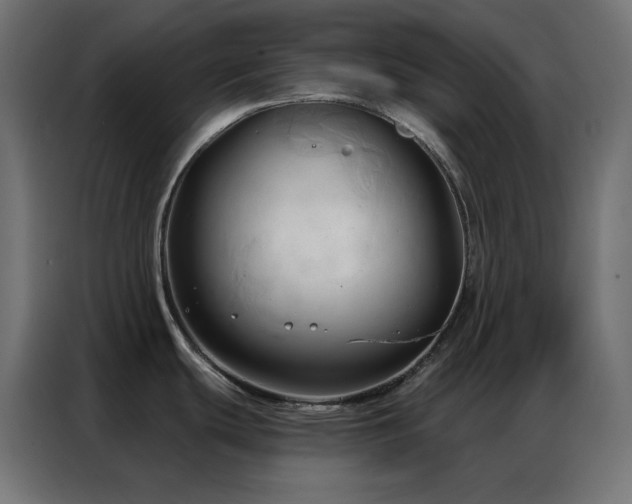 X0000086901439200704161303