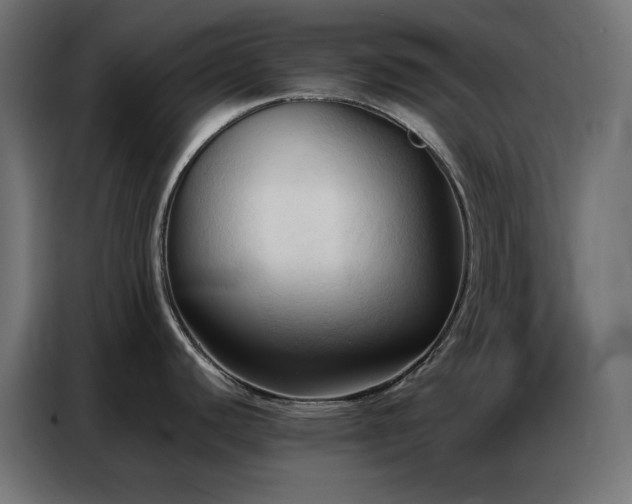 X0000086901440200704161303