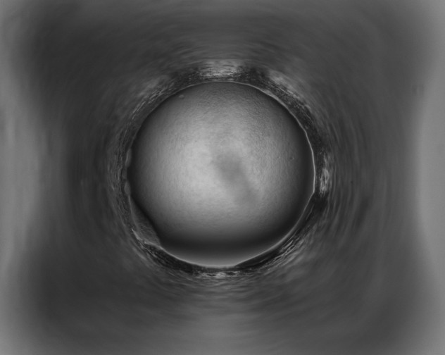 X0000086901441200704161303
