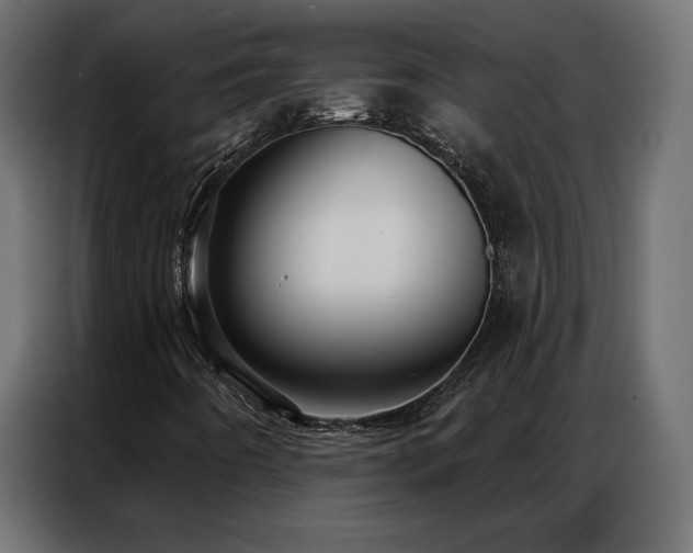X0000086901442200704161303
