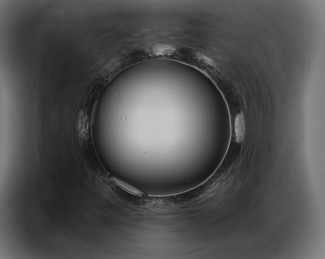 X0000086901443200704161303