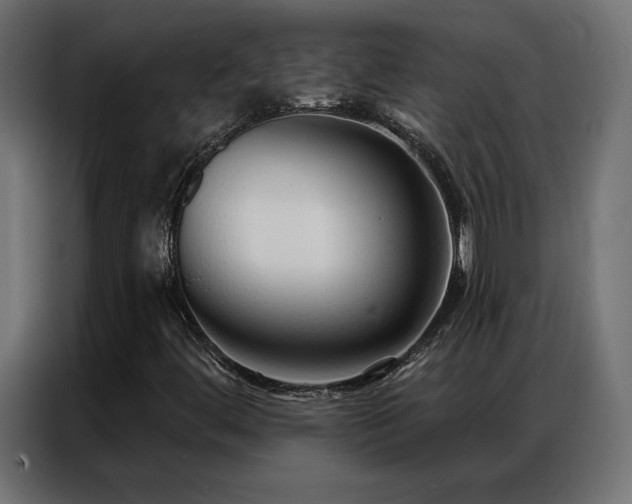 X0000086901444200704161302