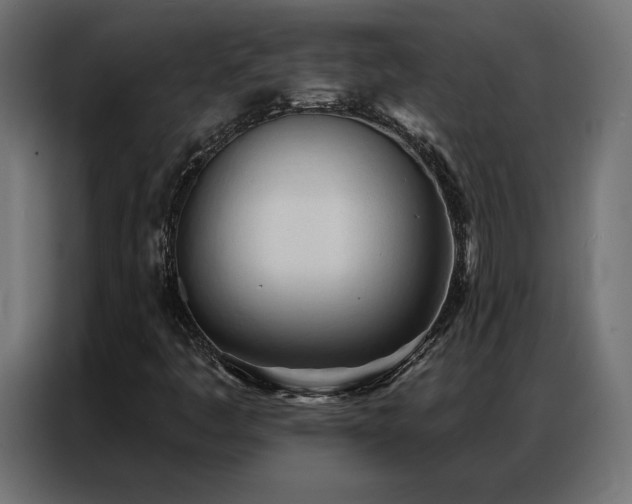X0000086901445200704161302