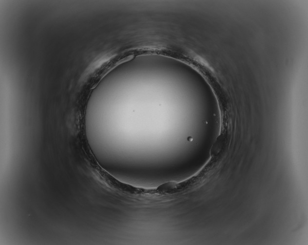 X0000086901448200704161302