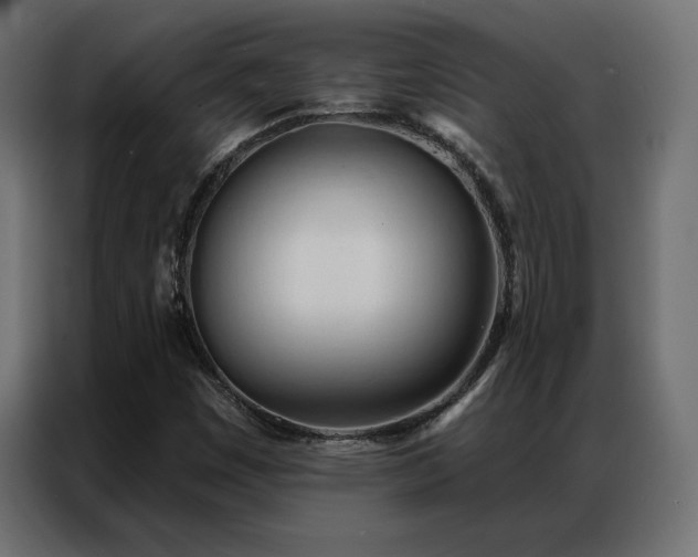 X0000086901449200704161302