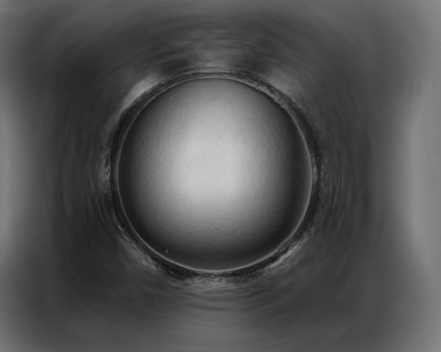 X0000086901450200704161302