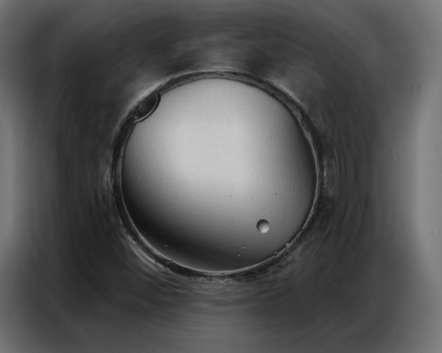X0000086901452200704161302