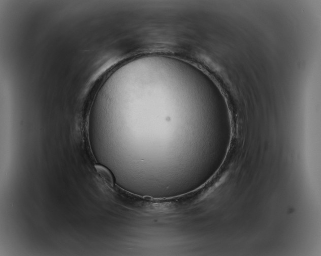 X0000086901453200704161302