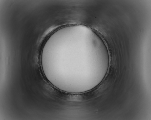 X0000086901454200704161302