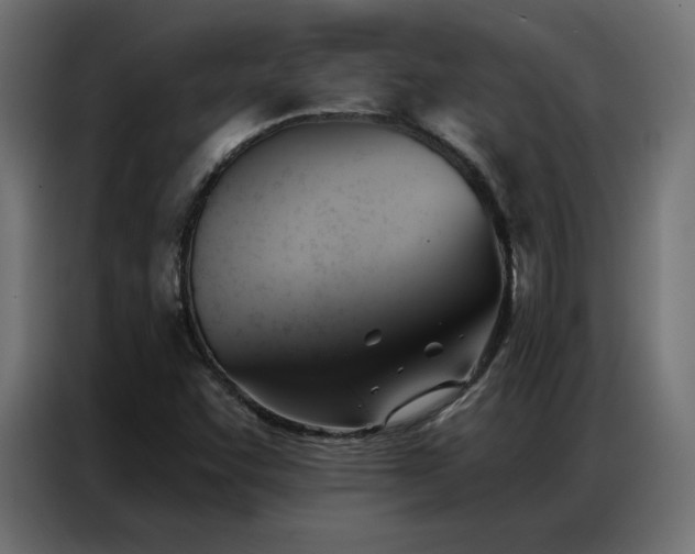 X0000086901455200704161302