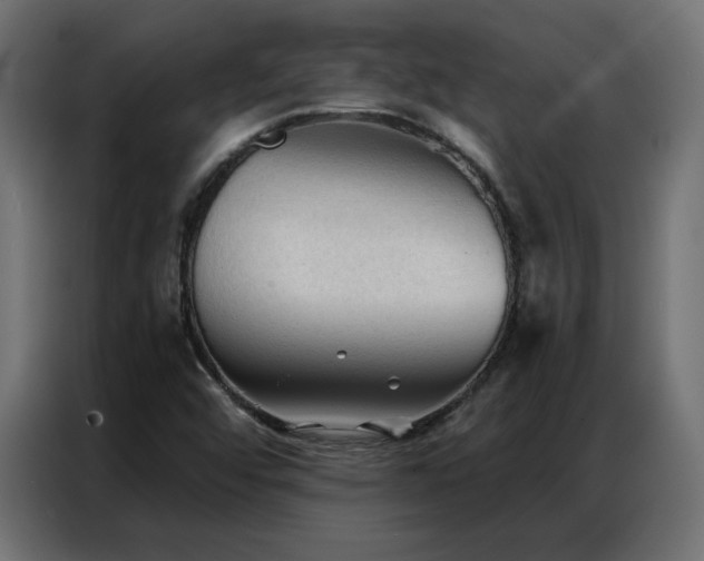 X0000086901456200704161302