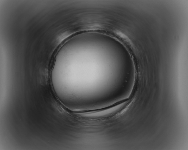 X0000086901457200704161302