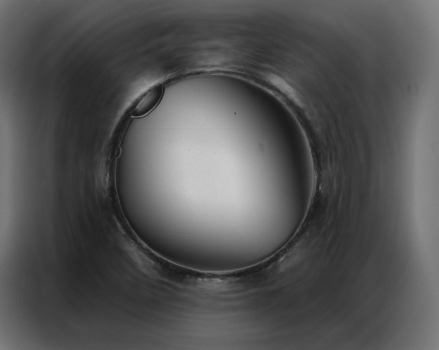 X0000086901458200704161302