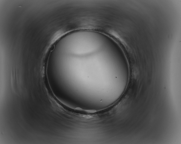 X0000086901459200704161302