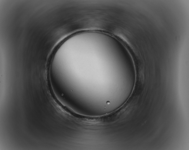 X0000086901460200704161302