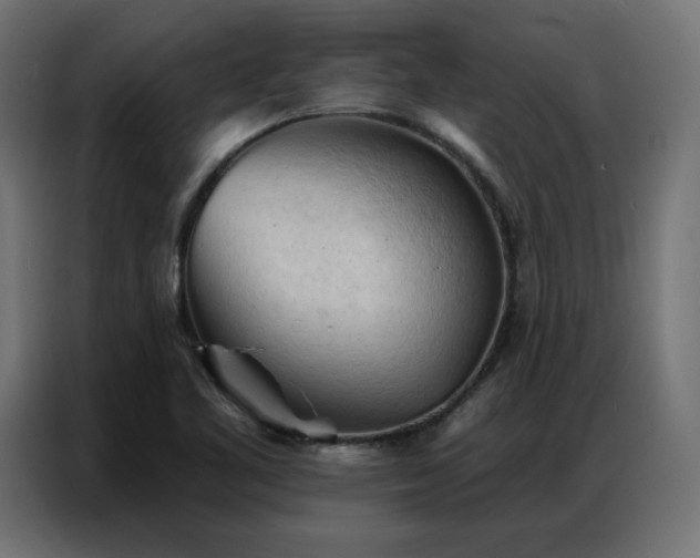 X0000086901461200704161302