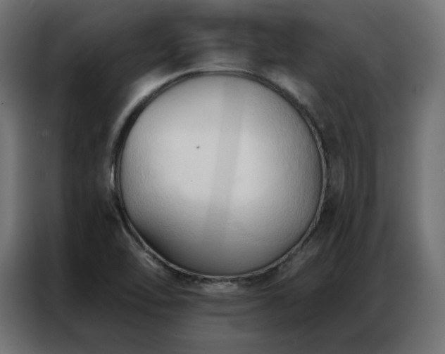 X0000086901462200704161302