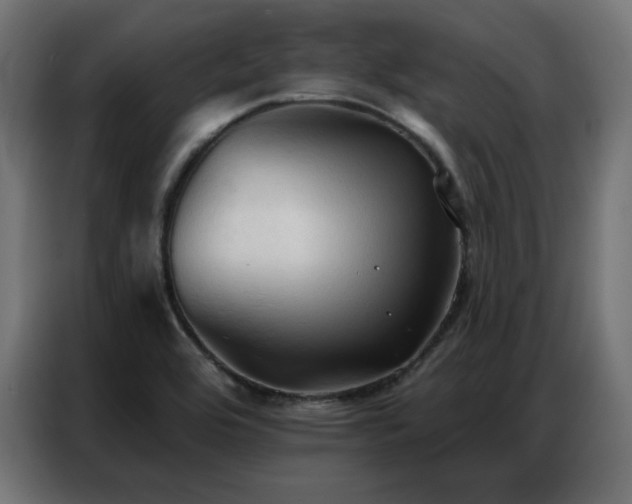 X0000086901464200704161302