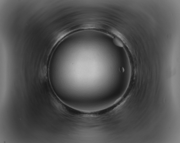 X0000086901465200704161302