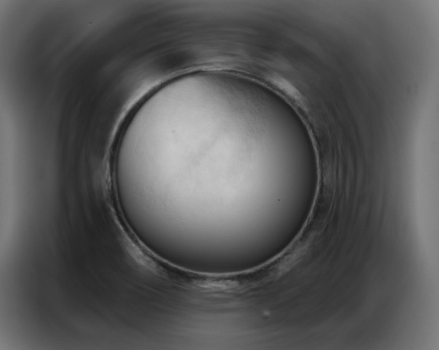 X0000086901466200704161302