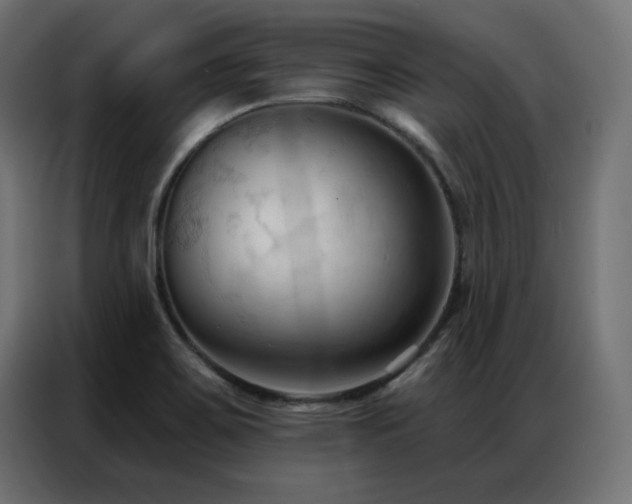 X0000086901467200704161302