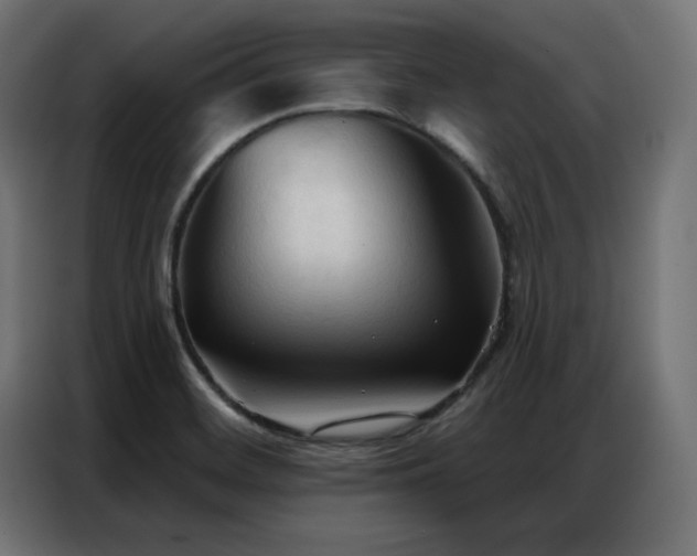 X0000086901468200704161302