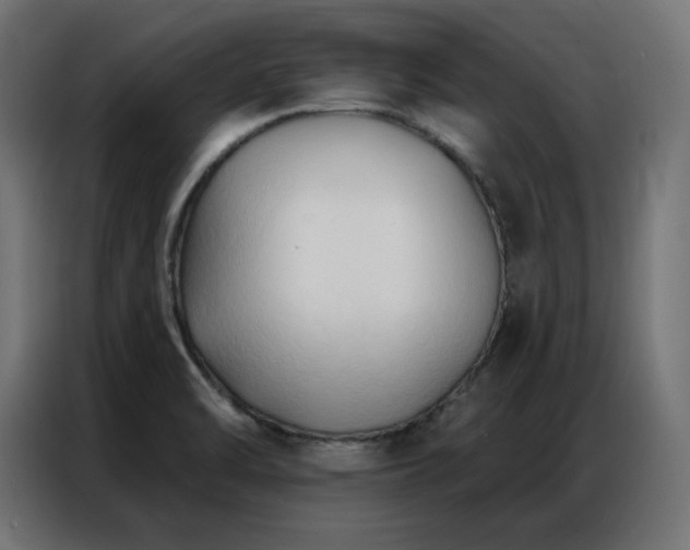 X0000086901470200704161302