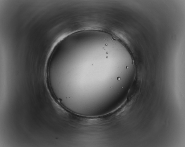 X0000086901471200704161302