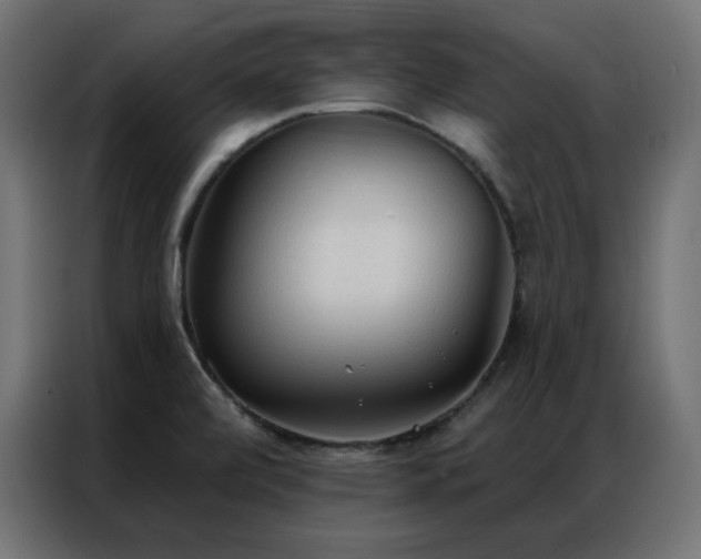 X0000086901472200704161302