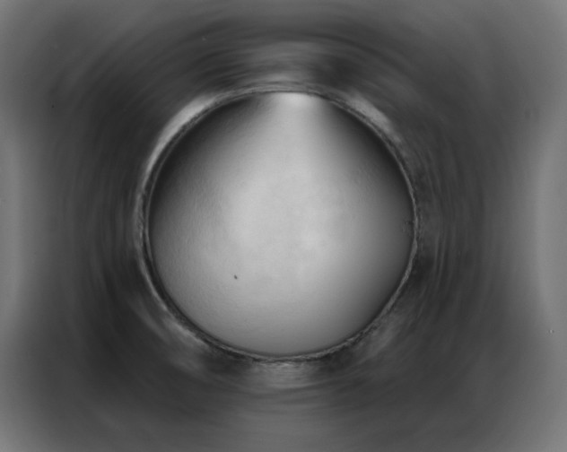 X0000086901474200704161302