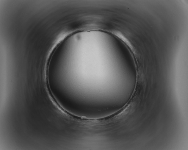 X0000086901477200704161302