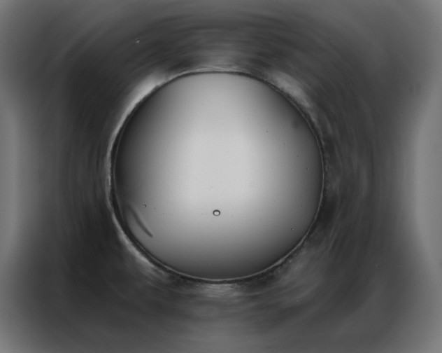 X0000086901479200704161302