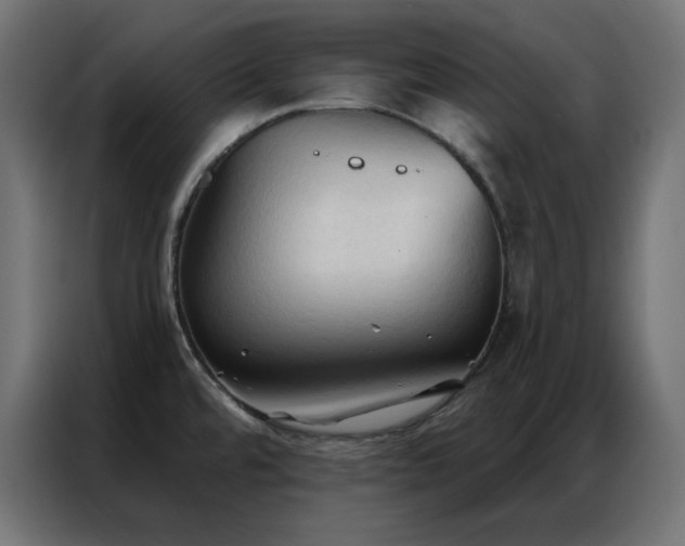 X0000086901480200704161302