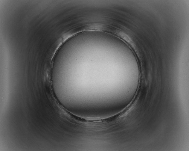 X0000086901481200704161302