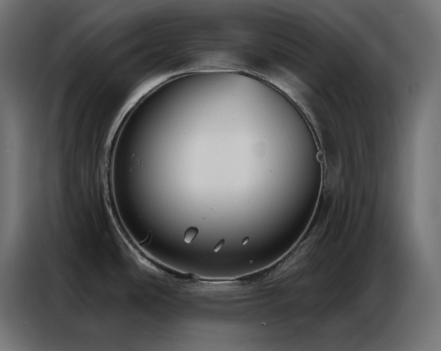 X0000086901486200704161302