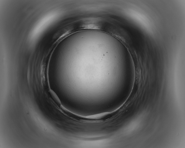 X0000086901487200704161302