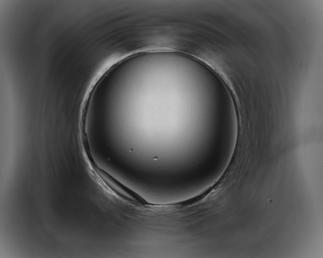 X0000086901488200704161302