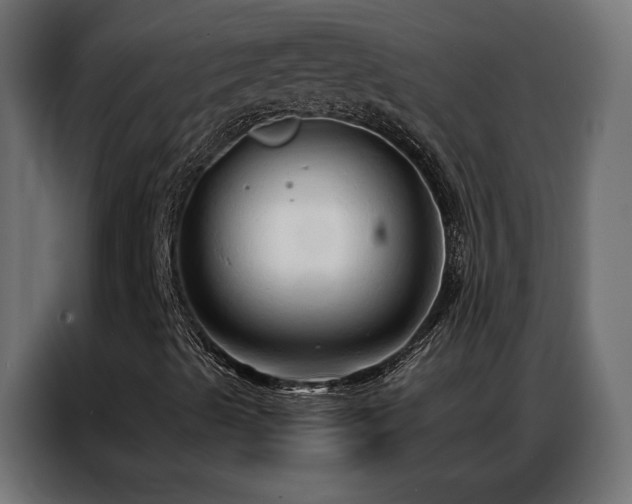 X0000086901489200704161301
