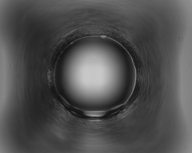 X0000086901490200704161301