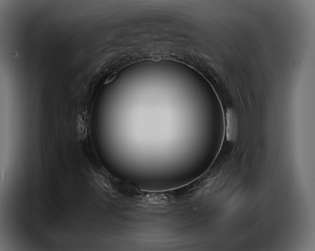 X0000086901491200704161301