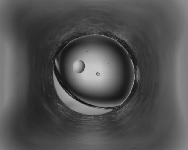 X0000086901492200704161301