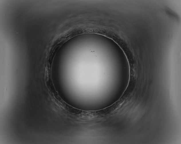 X0000086901493200704161301