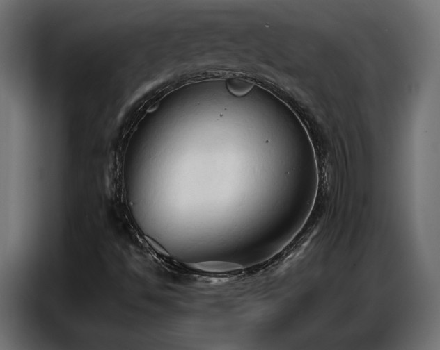 X0000086901494200704161301