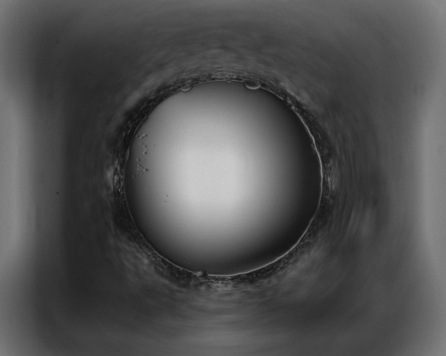 X0000086901495200704161301