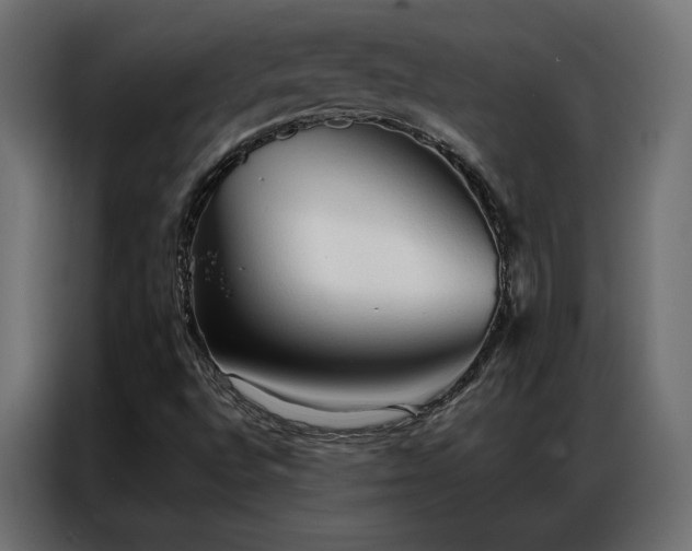 X0000086901496200704161301