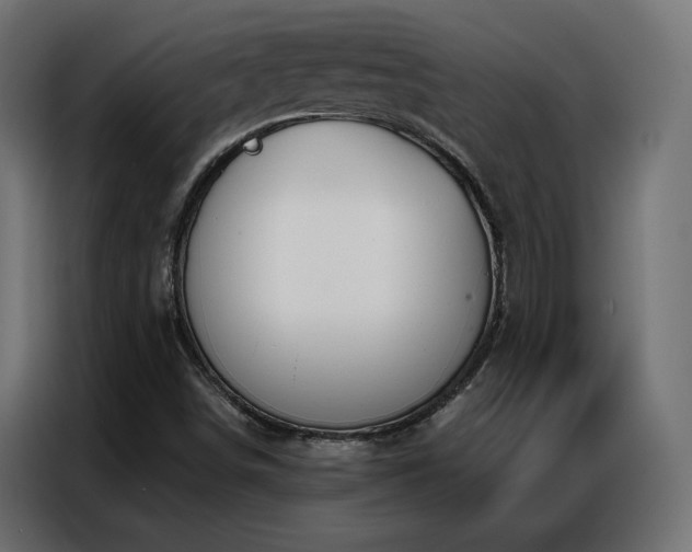 X0000086901498200704161301
