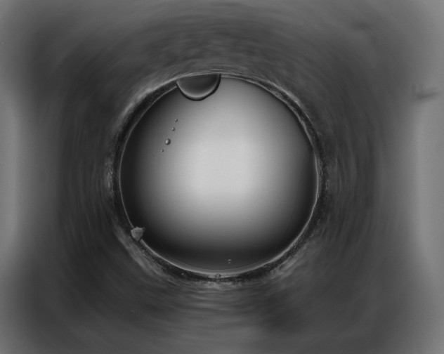 X0000086901499200704161301