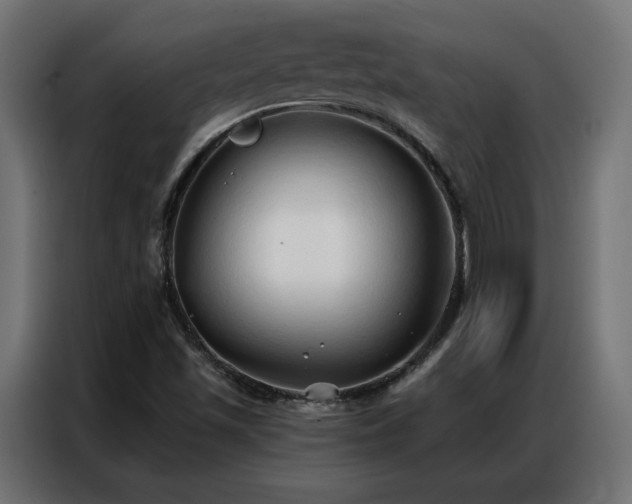 X0000086901501200704161301