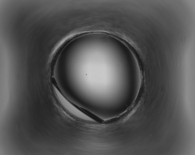 X0000086901502200704161301