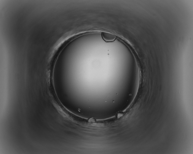 X0000086901503200704161301